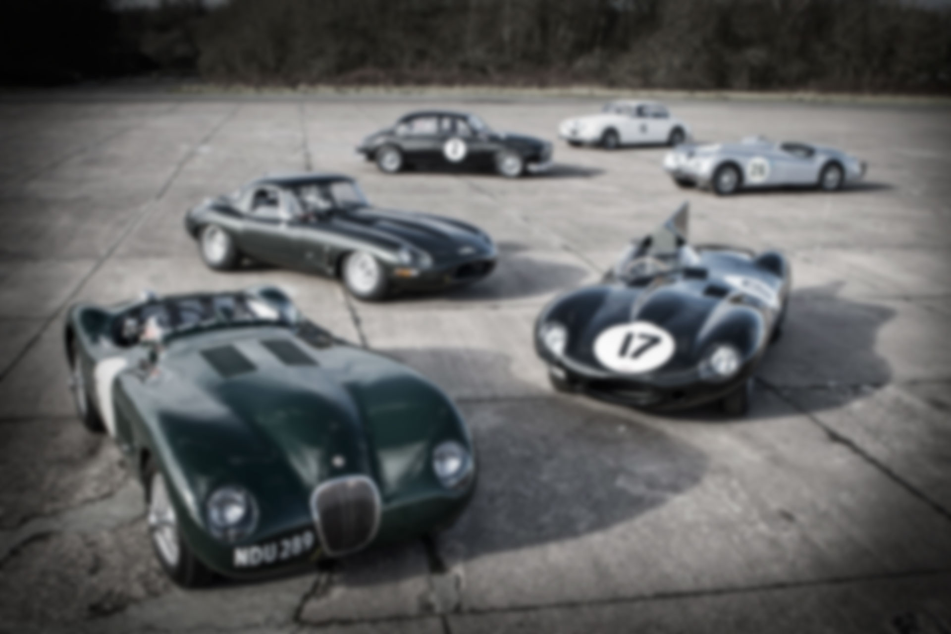 Login Full Background